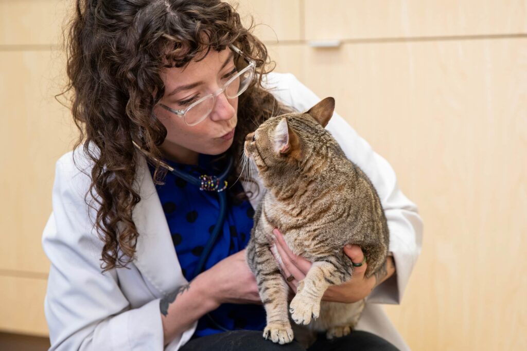 San Francisco Pet Hospital