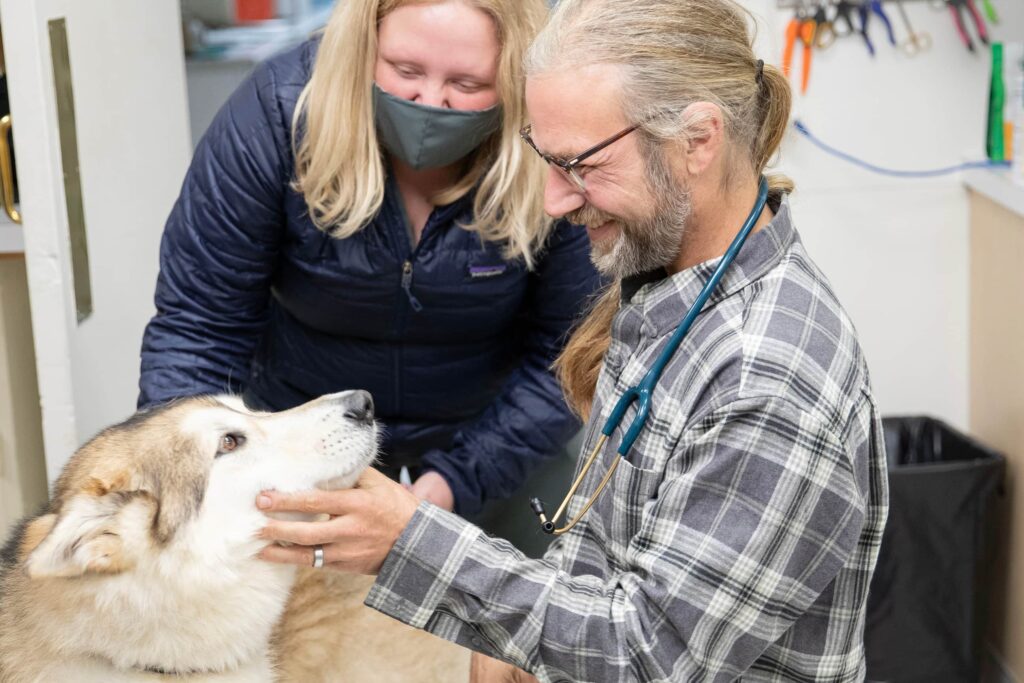 San Francisco Pet Hospital