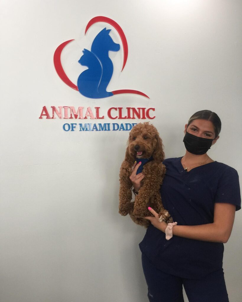 Animal Clinic of Miami Dade