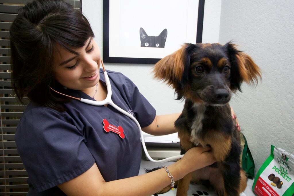 A-Animal Clinic & Boarding Kennel