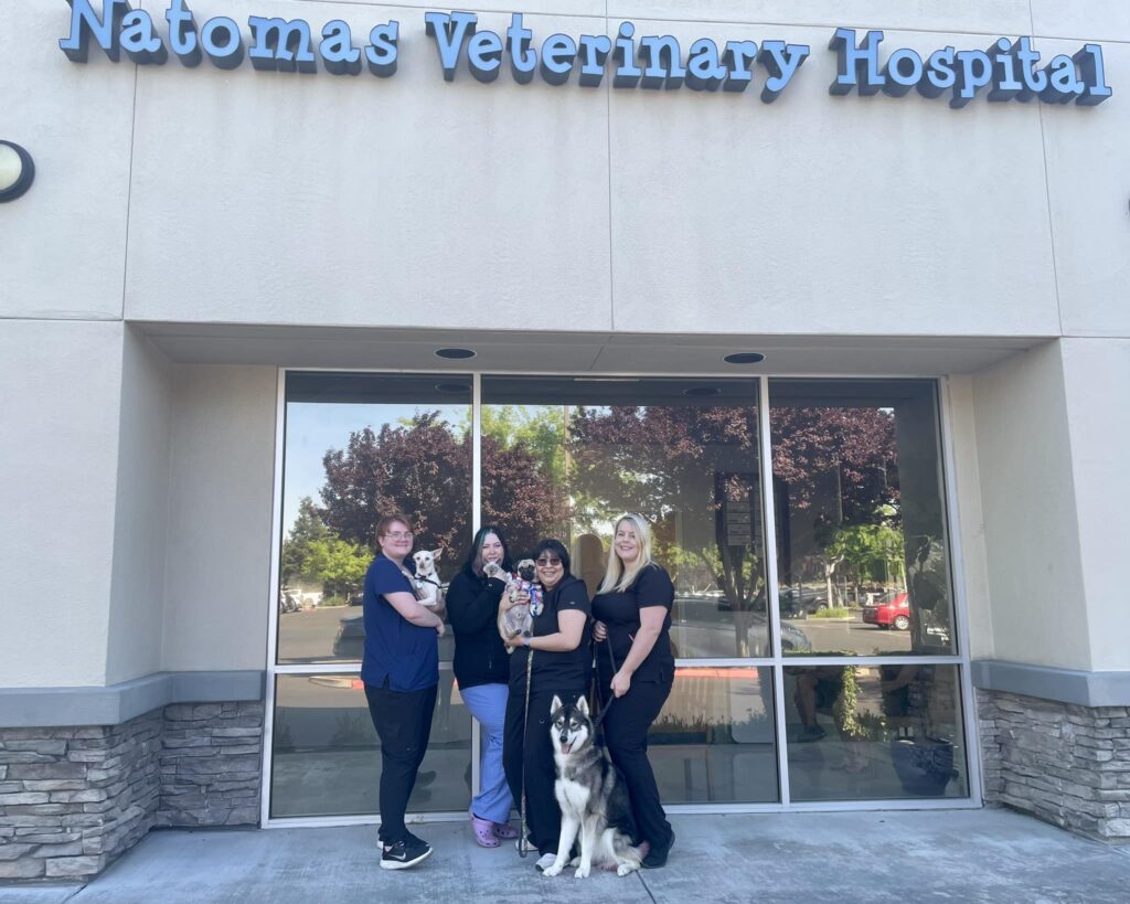 Natomas Veterinary Hospital