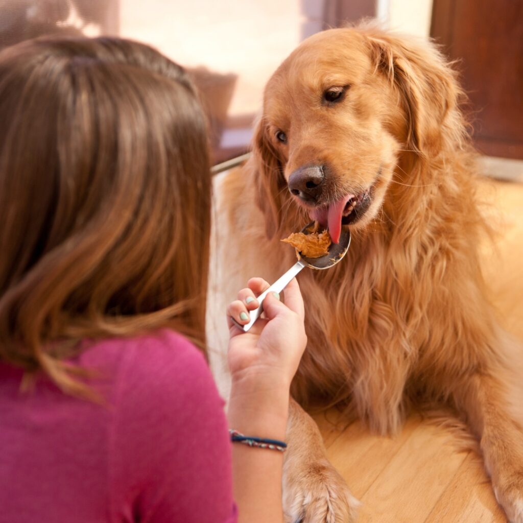 Friendship Animal Hospital