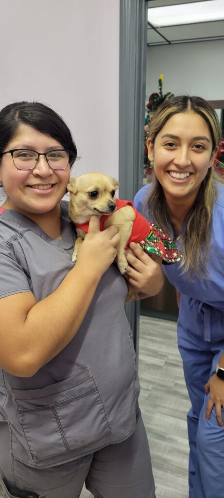 Aldine Mail Route Animal Hospital