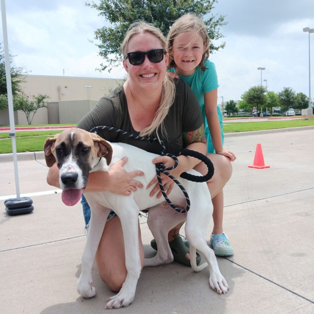 Humane Society of North Texas (HSNT)