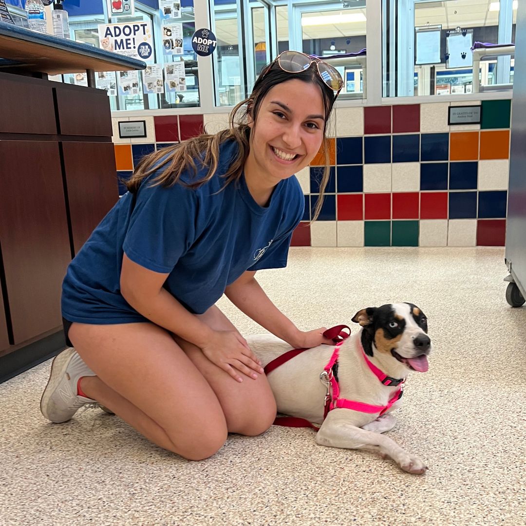 Houston Humane Society Animal Wellness Clinic