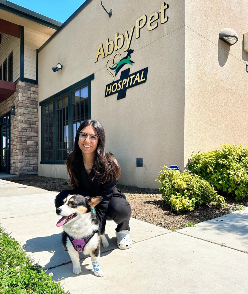 Abby Pet Hospital