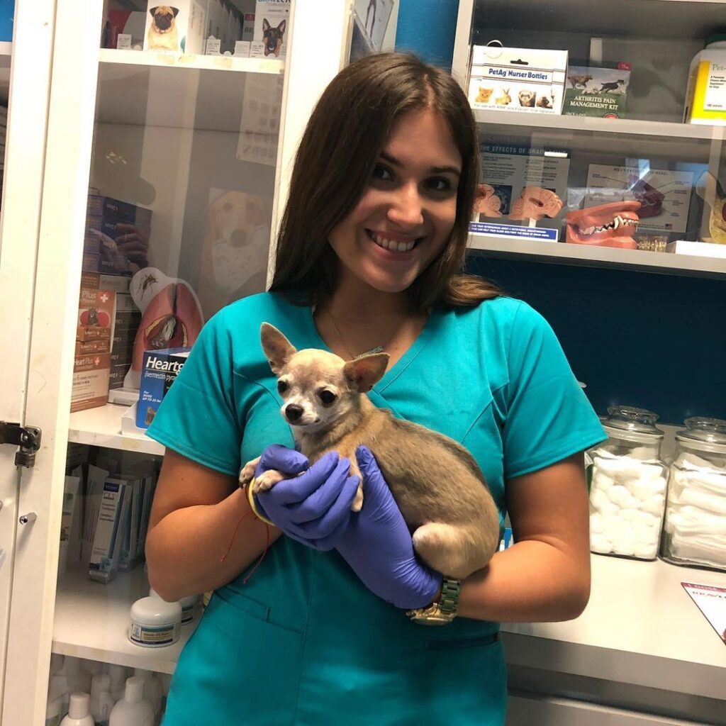 Bustillo Animal Hospital Miami