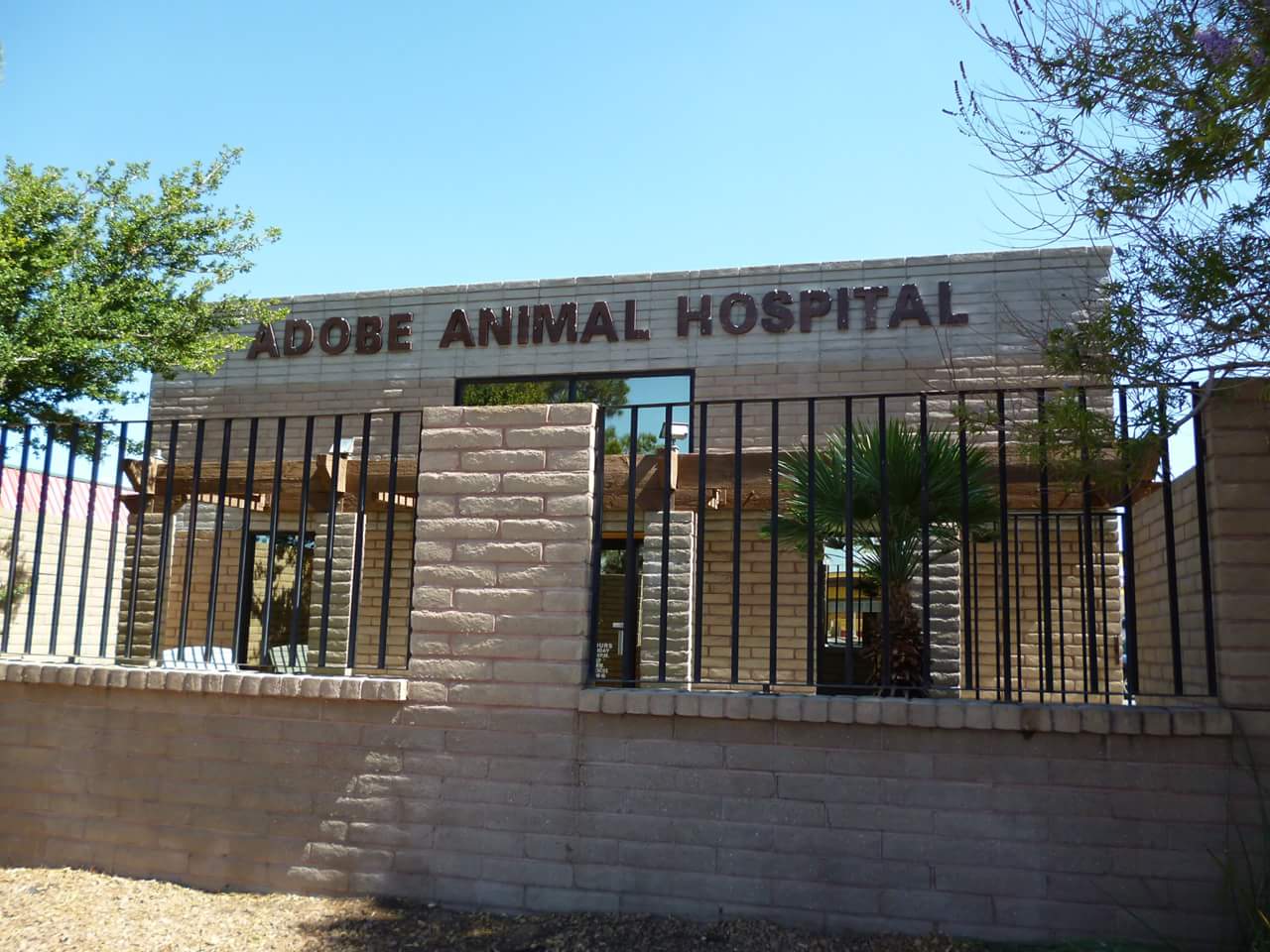  Adobe Animal Hospital and Veterinary Clinic