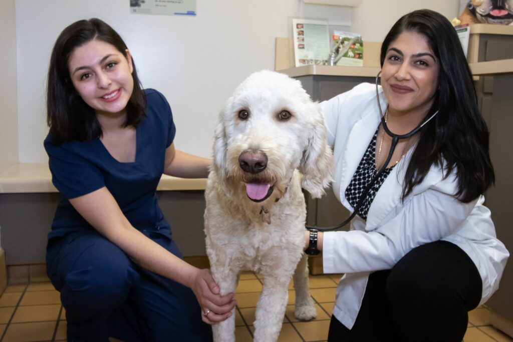 Alum Rock Animal Hospital