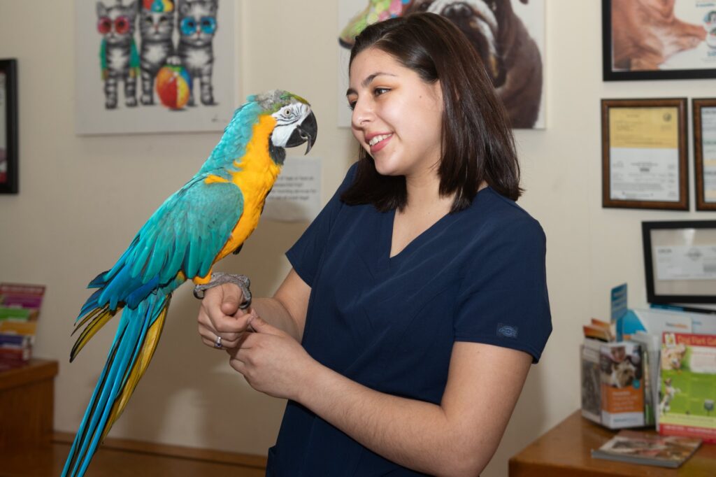 Alum Rock Animal Hospital