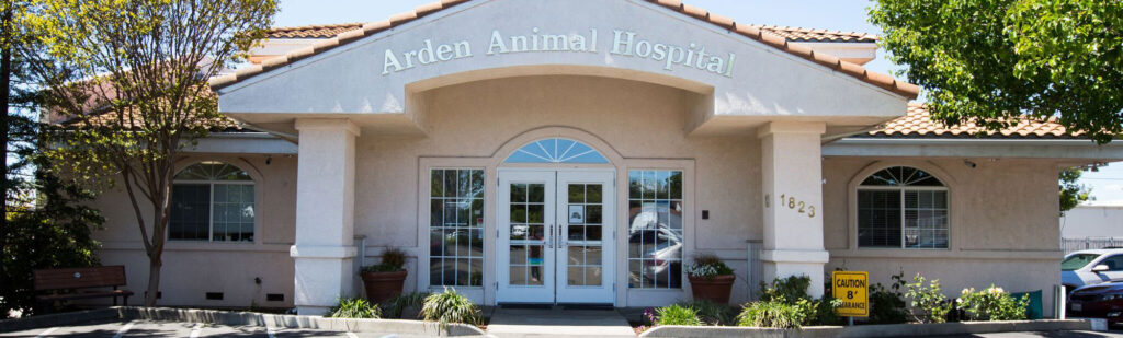 Arden Animal Hospital