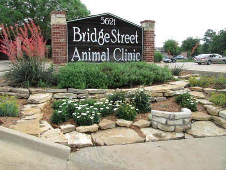 Bridge Street Animal Clinic