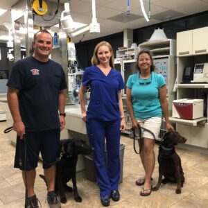 Cabrillo Pet Hospital