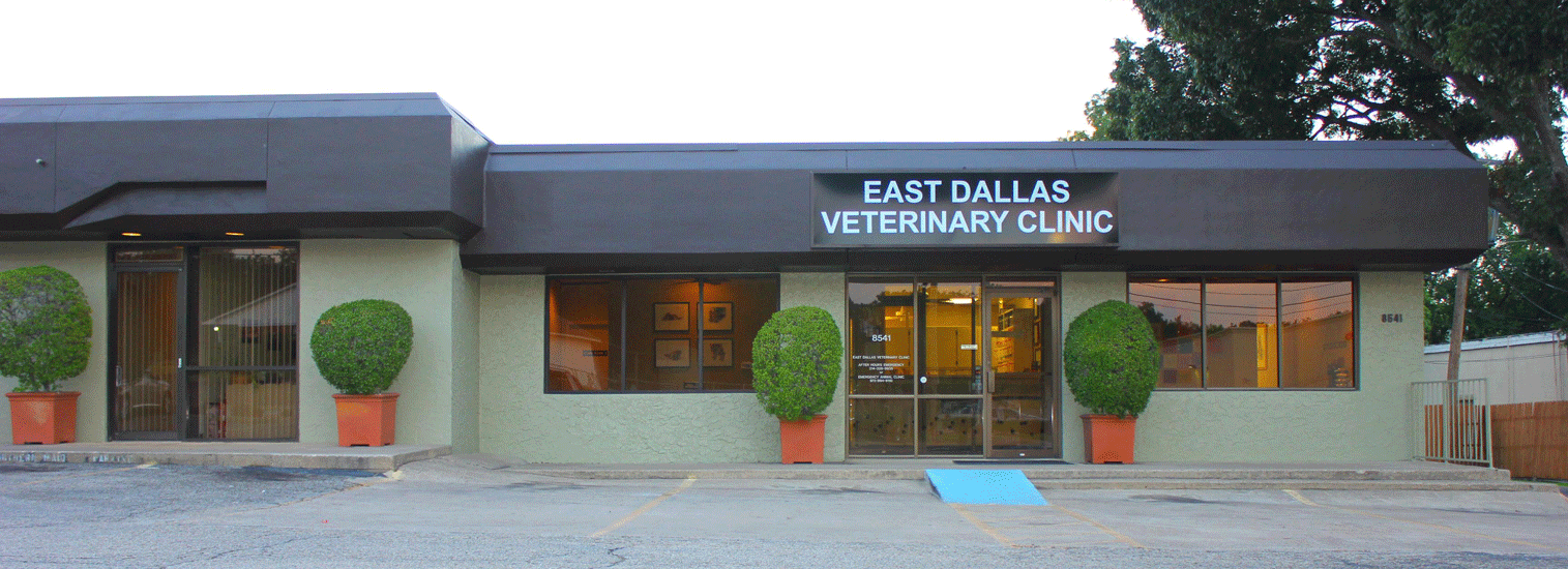 East Dallas Veterinary Clinic