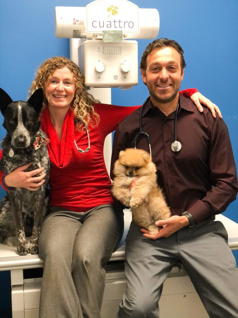 San Diego Bay Animal Hospital