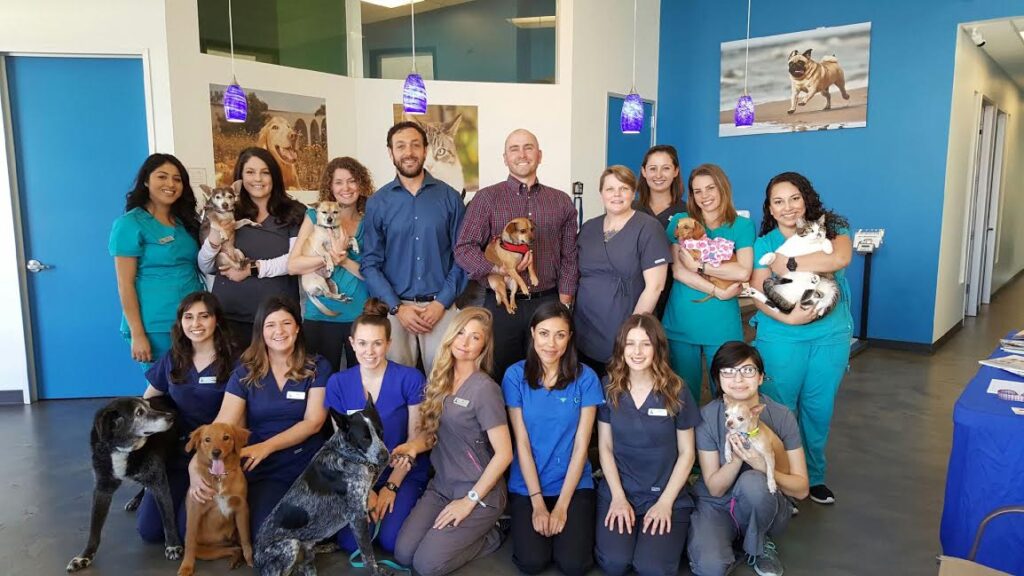 San Diego Bay Animal Hospital