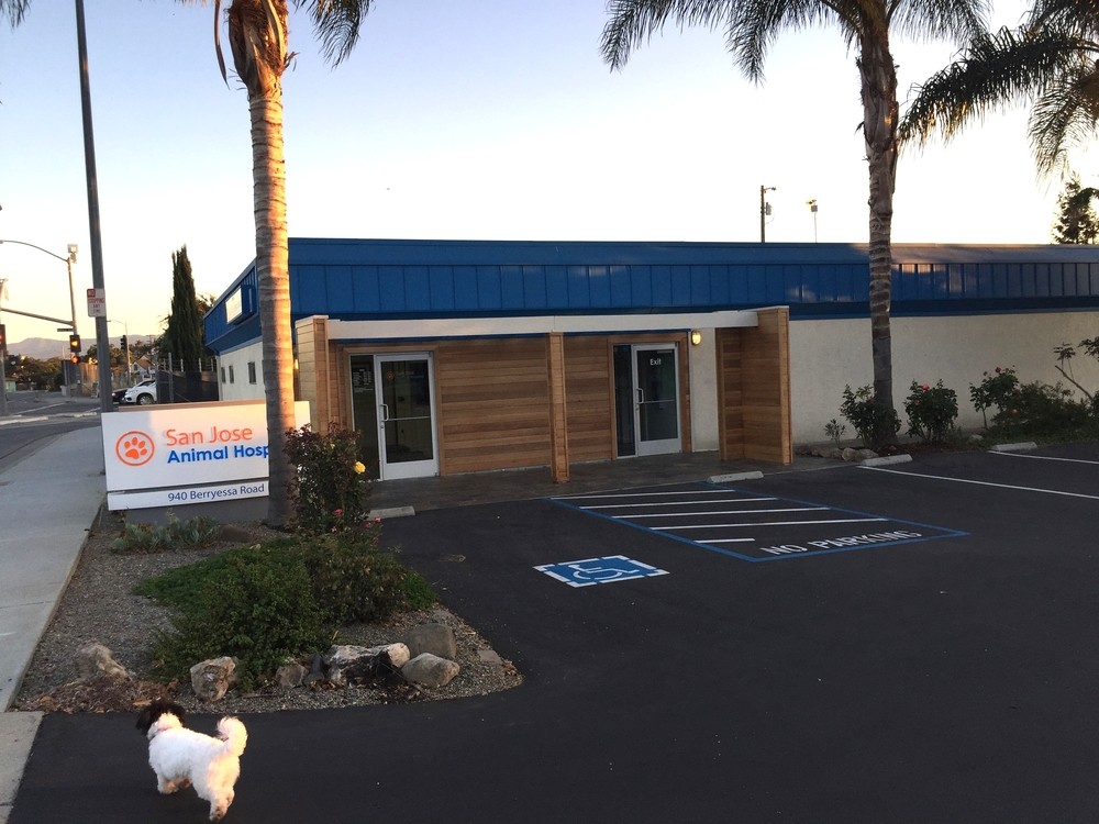 San Jose Animal Hospital