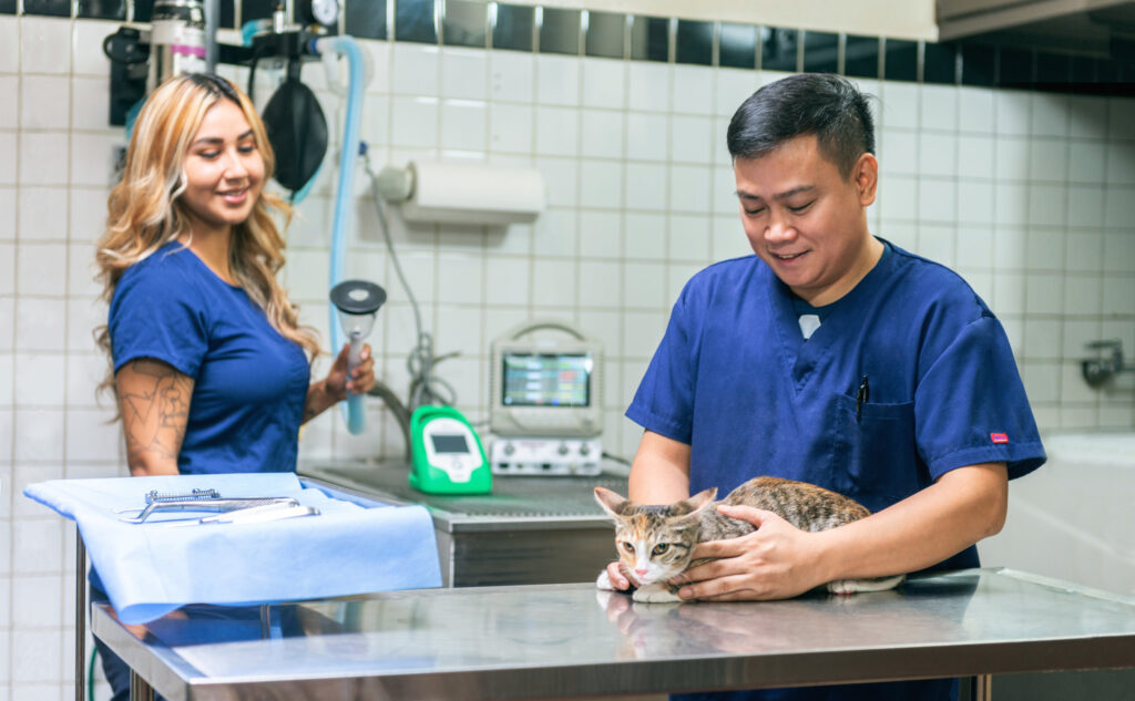 Hospital De La Figueroa Para Animales