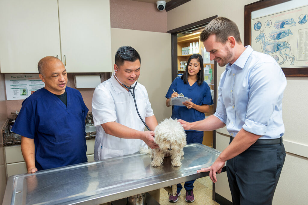 Hospital De La Figueroa Para Animales