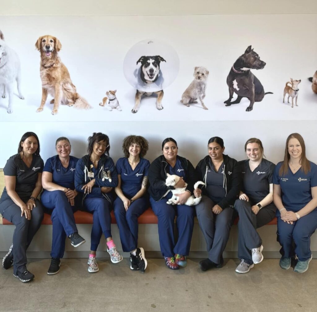 West Coast Animal Hospital