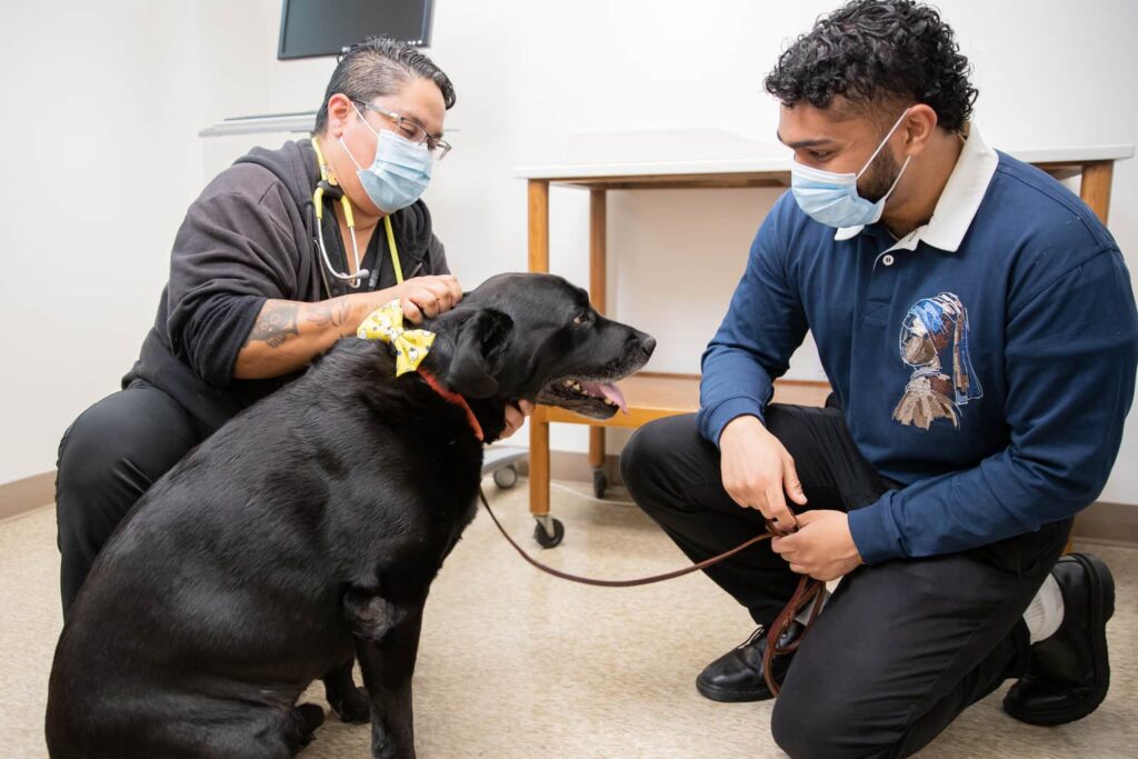 San Francisco Animal Medical Center