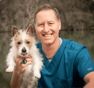 Violet Crown Veterinary Specialists