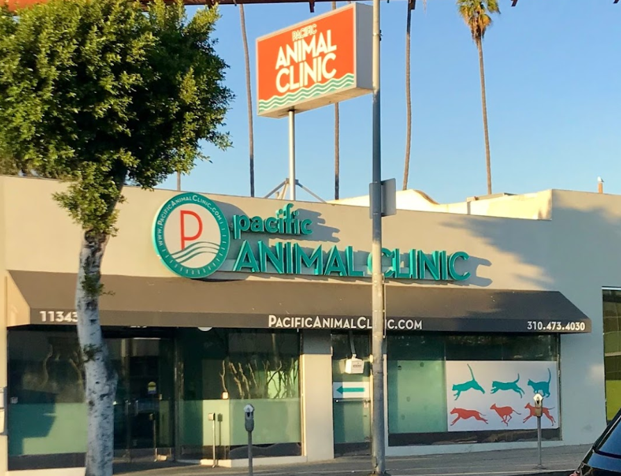 Pacific Animal Clinic