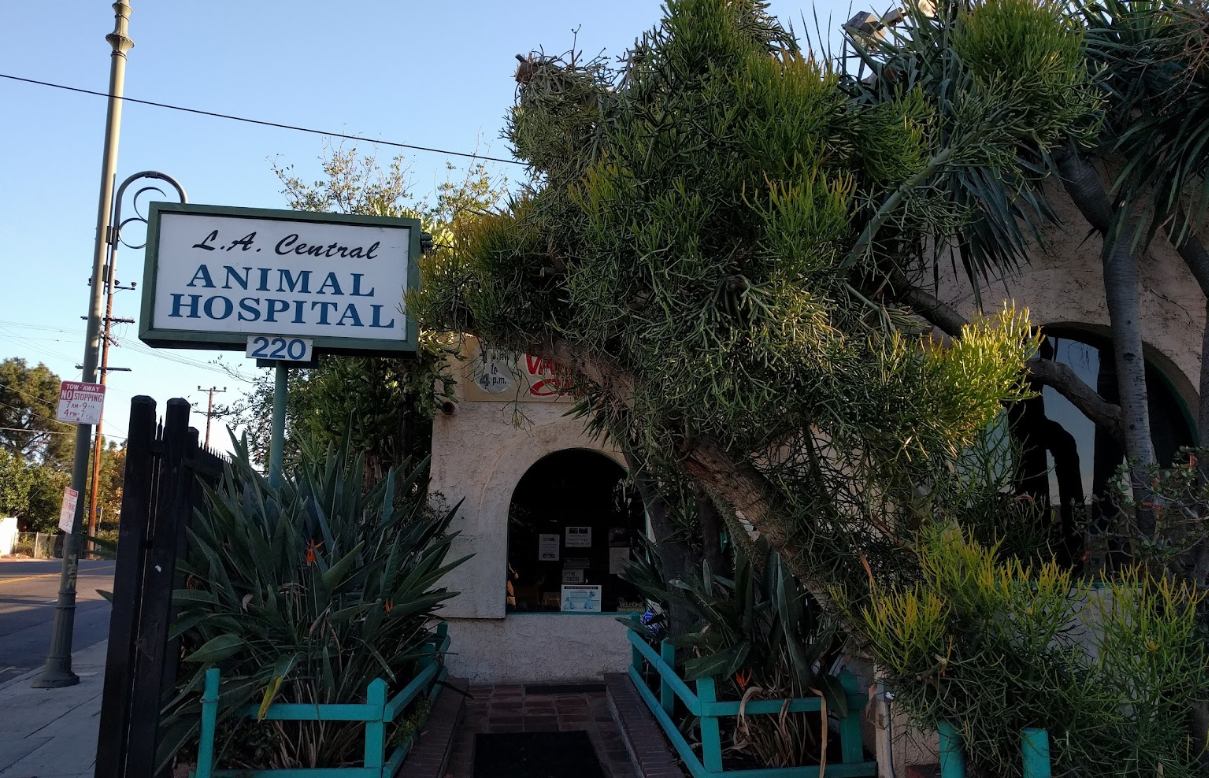 L A Central Animal Hospital