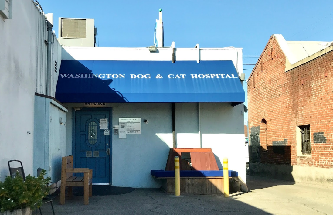 Washington Dog and Cat Hospital