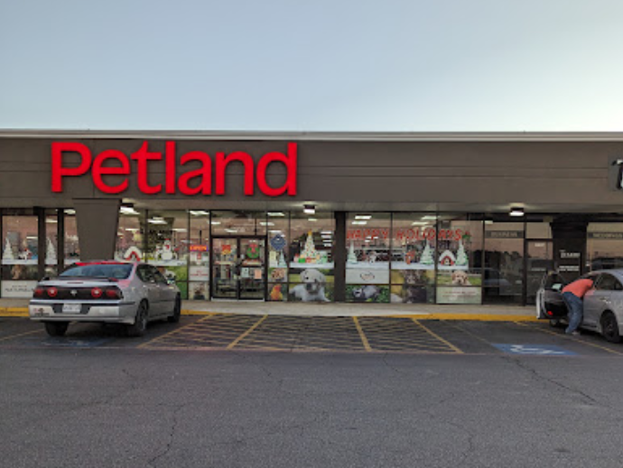 Petland Leon Valley