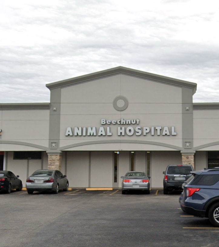 Beechnut Animal Hospital