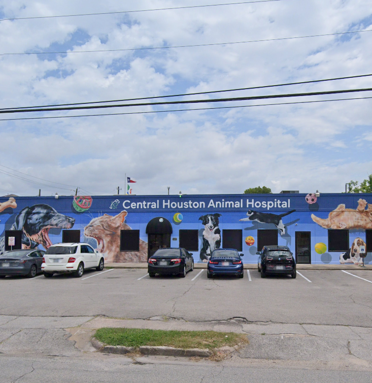 Central Houston Animal Hospital