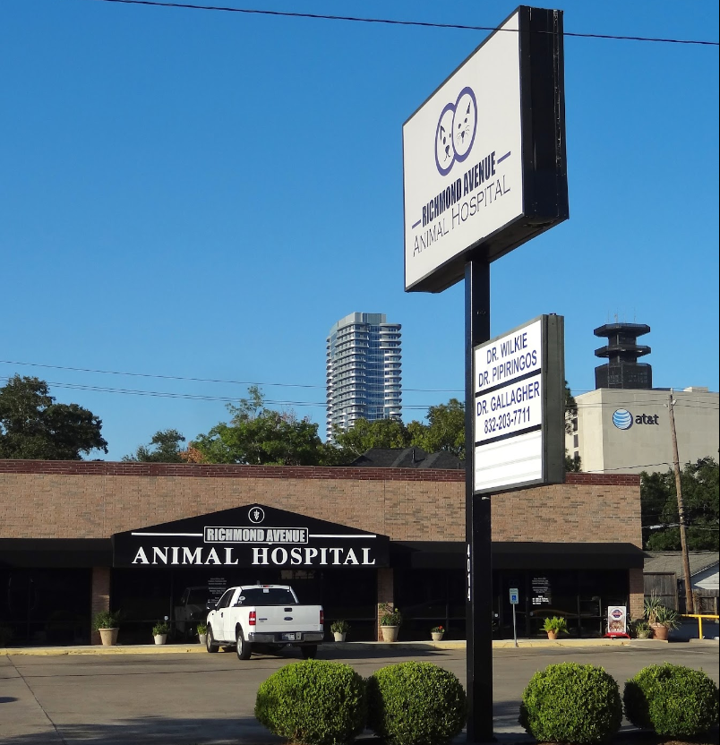 Richmond Avenue Animal Hospital