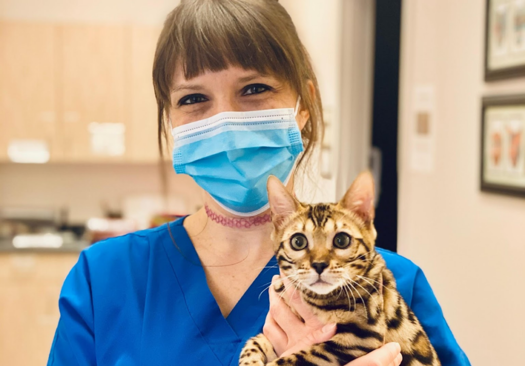 Medical District Veterinary Clinic at Illinois