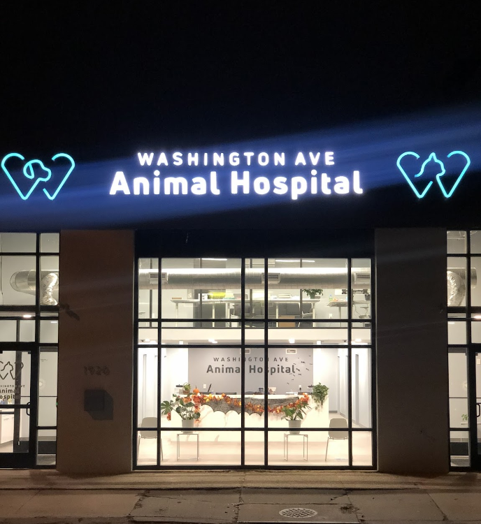 Washington Ave Animal Hospital