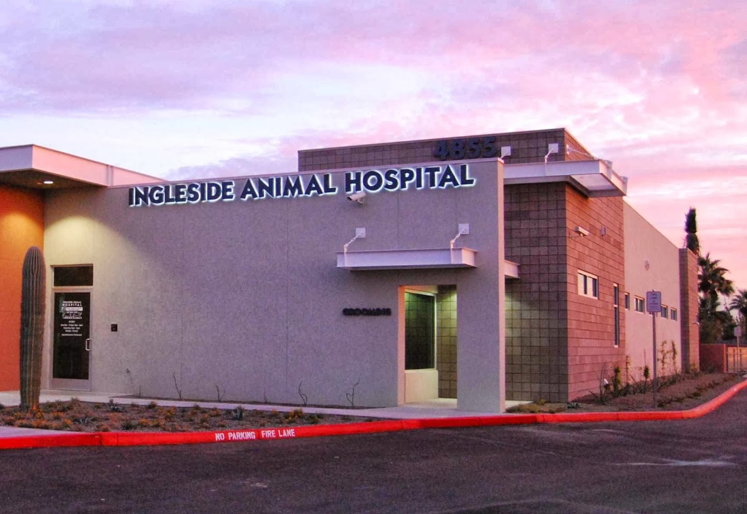 Ingleside Animal Hospital