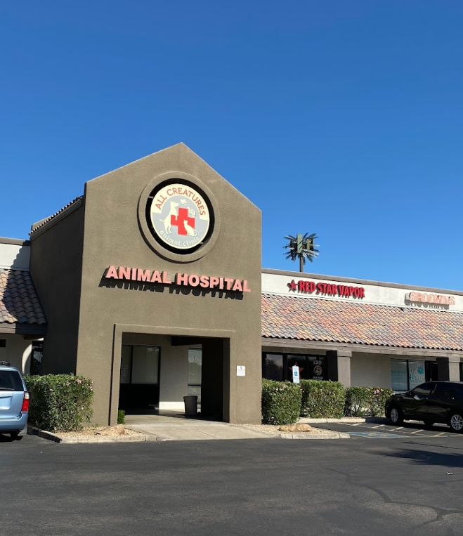 All Creatures Animal Clinic