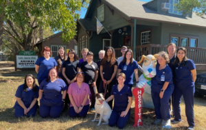 Lake Austin Blvd Animal Hospital