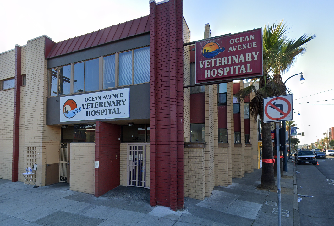 Ocean Avenue Veterinary Hospital