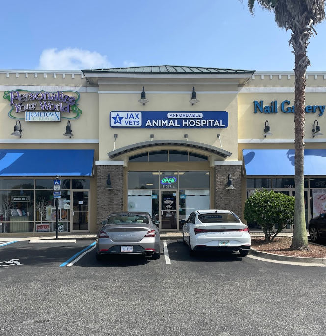 Jax Vets Affordable Animal Hospital at Baymeadows