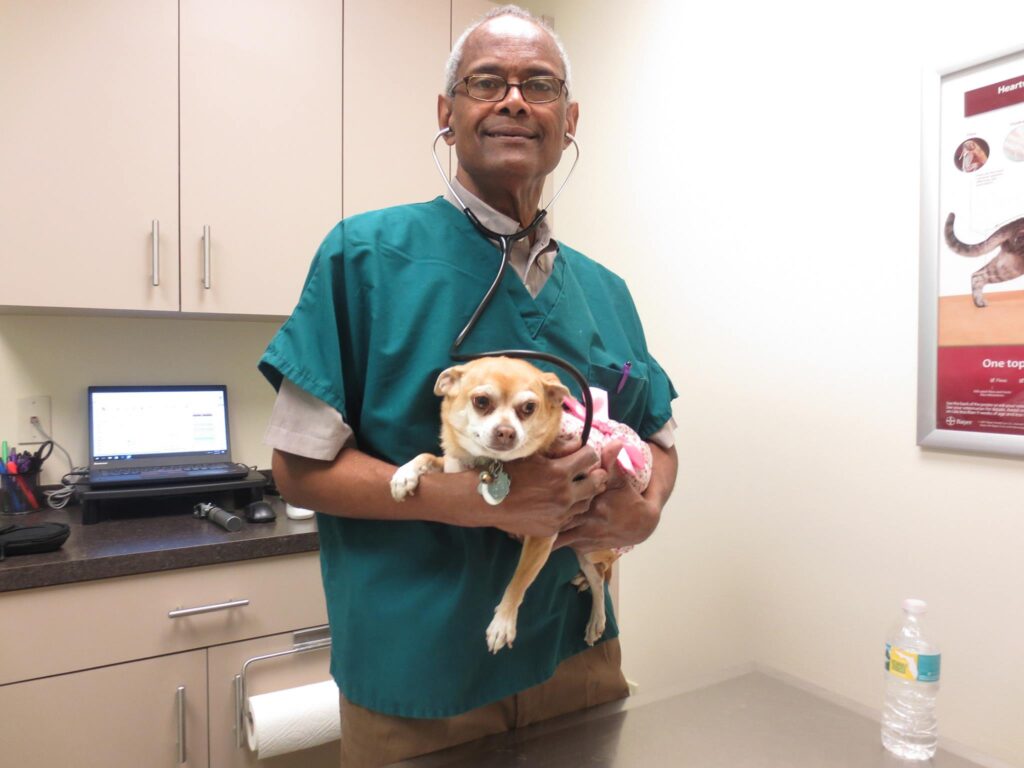 Animal Hospital of Tampa Bay