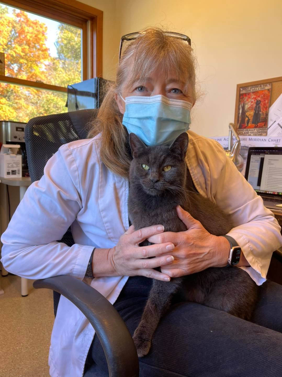 Connecticut Feline Medicine and Surgery