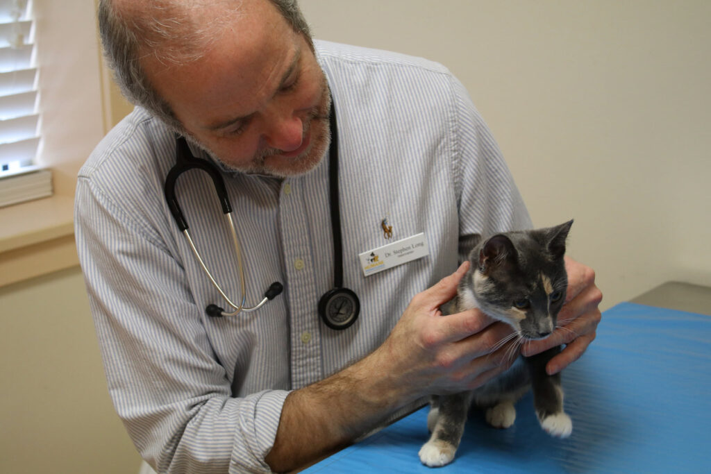 Humane Veterinary Hospitals - Reading