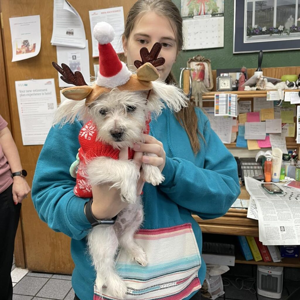 Animal Hospital of Lubbock