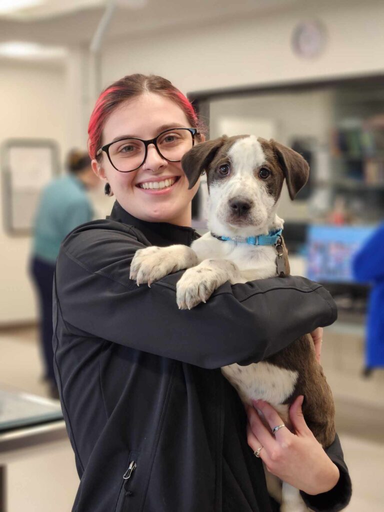 Animal Clinic of Reading