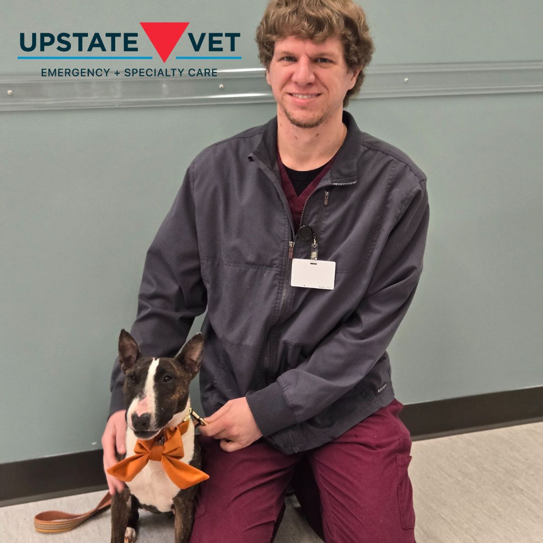 Upstate Vet Emergency & Specialty Care - Greenville