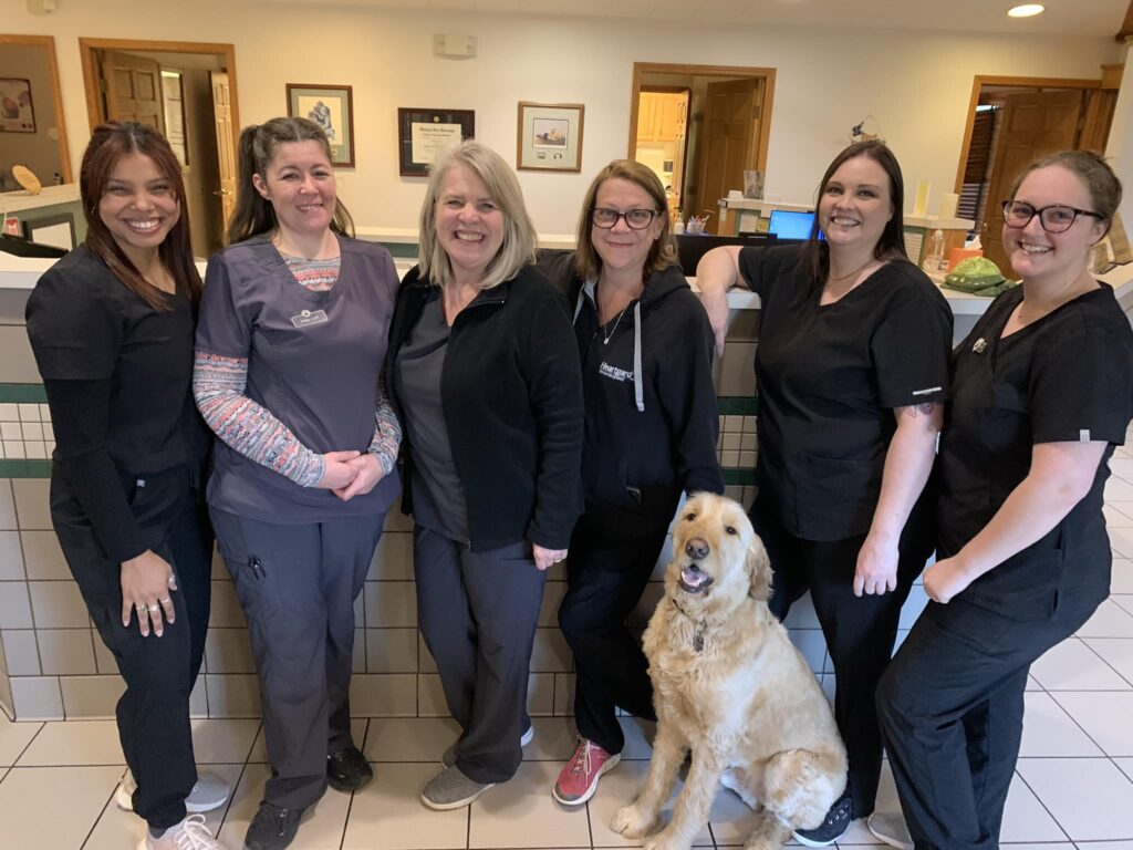 Holton Road Veterinary Clinic