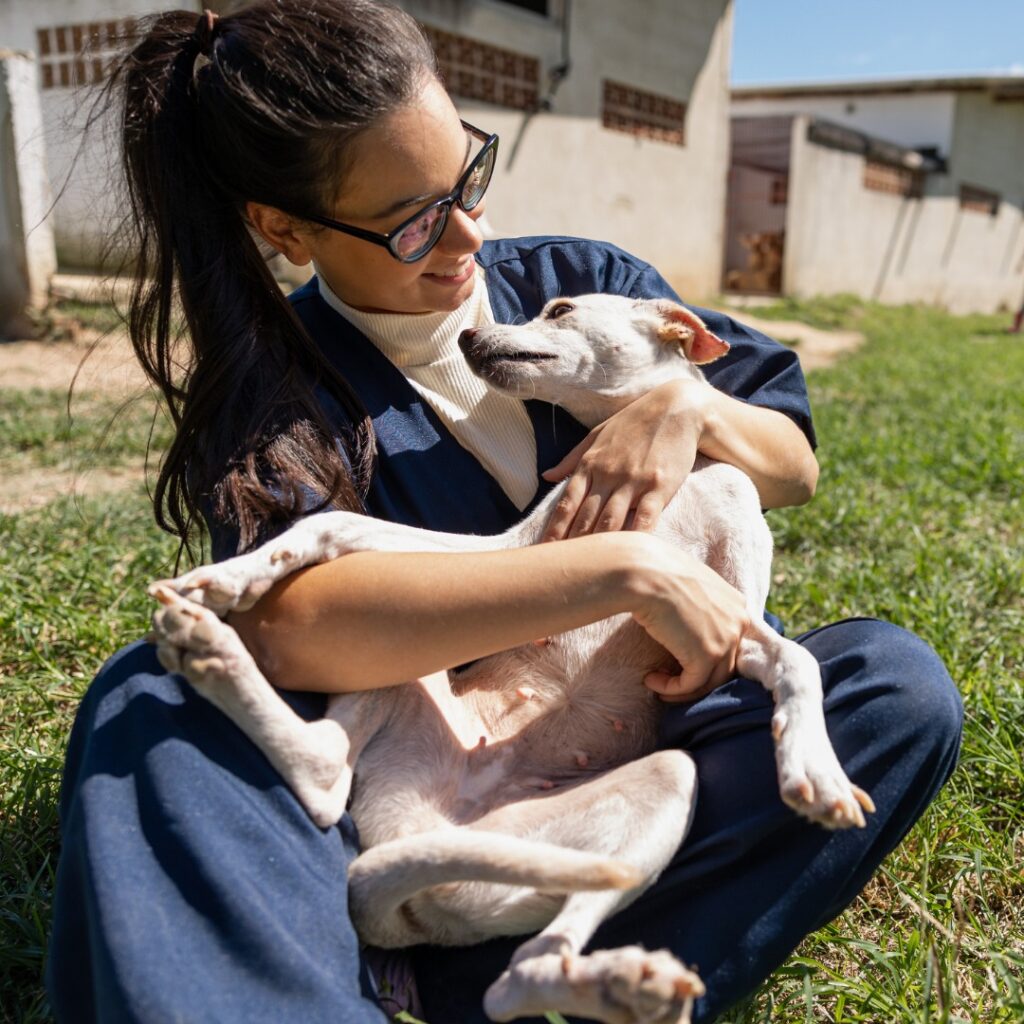 Windsor Park Animal Hospital