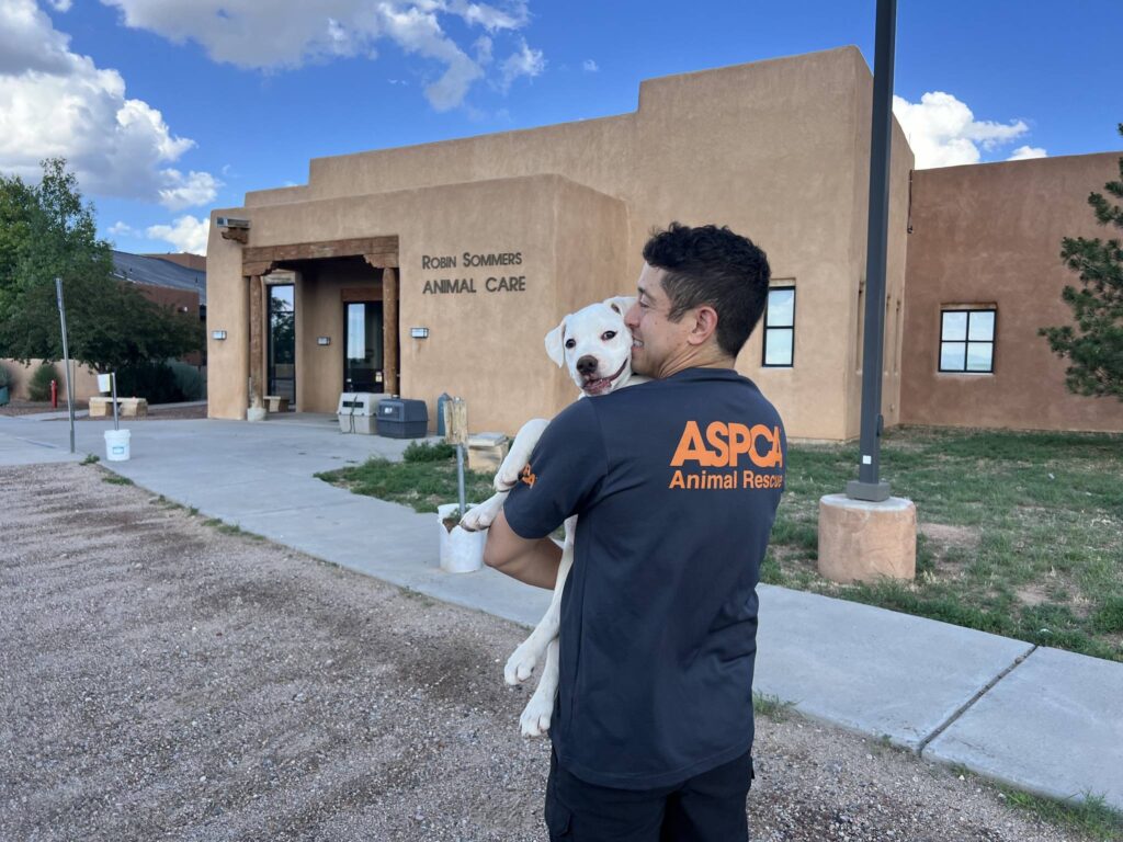 ASPCA Animal Hospital