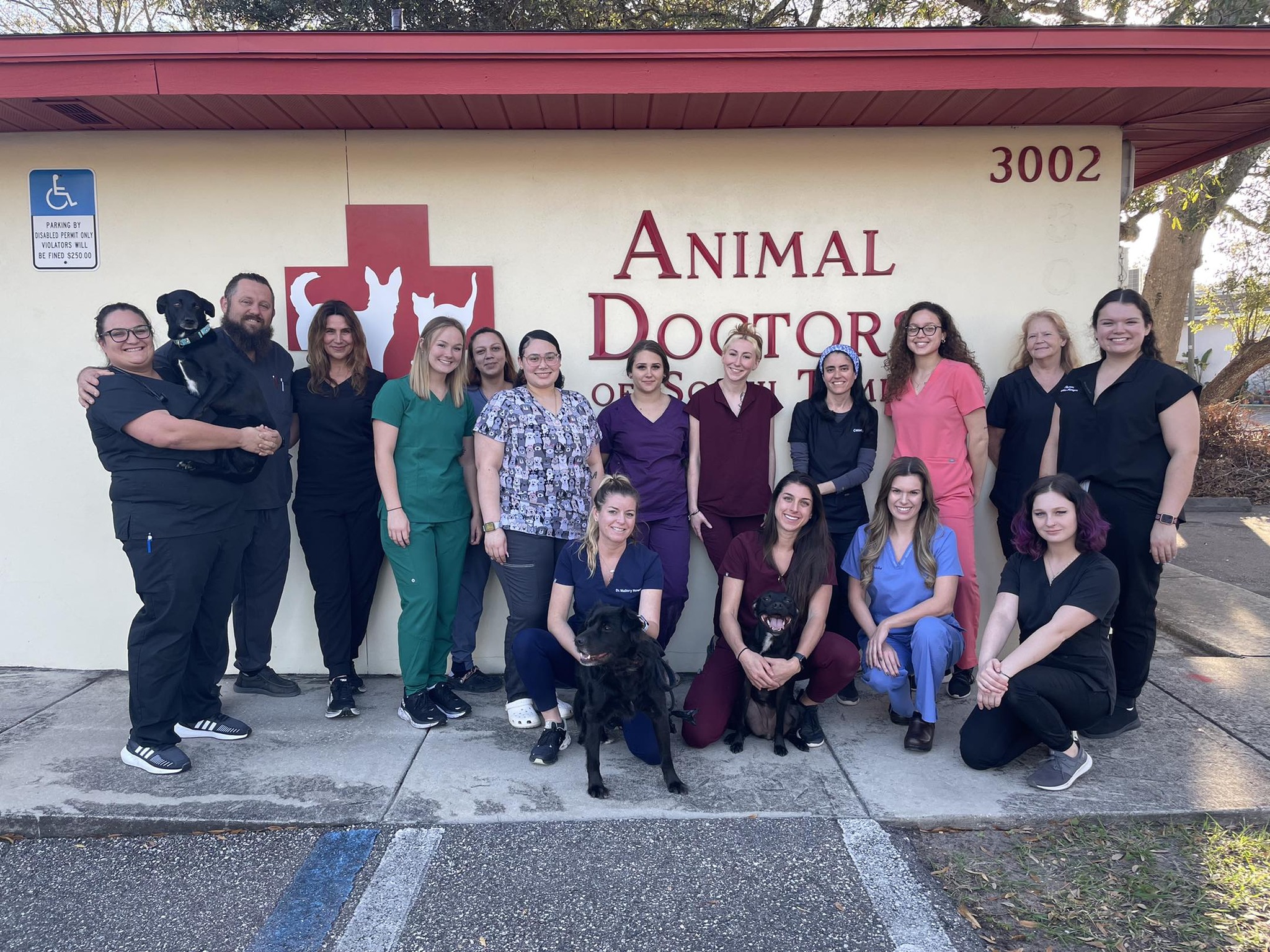 Animal Doctors of South Tampa 